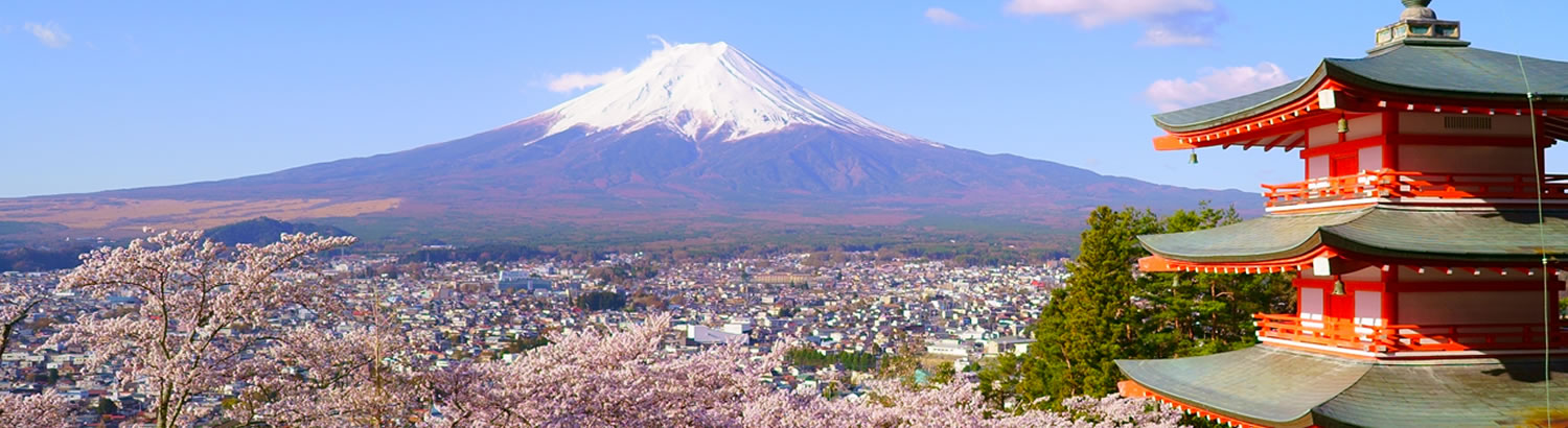 株式会社サン.フーズ 山梨